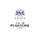 Lotus Plantone - QS Fitted Bedsheet Set-5pcs - LCT-PT-03