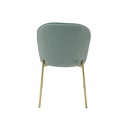 Tran Dining Chair-Gold Steel/Mint Green Velvet