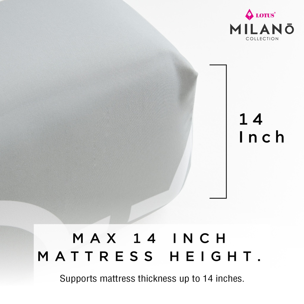 Lotus Milano - QS Fitted Bedsheet Set-5pcs - LTB-BS-MILANO-04