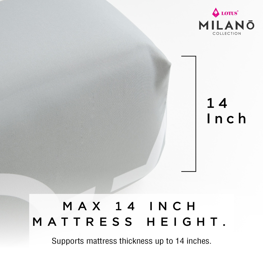 Lotus Milano - QS Fitted Bedsheet Set-5pcs - LTB-BS-MILANO-01
