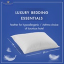 Dream Microfiber Pillow-1000g