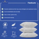 Dream Microfiber Pillow-1000g