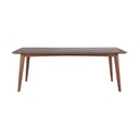 Daryo Wood Veneer Dining Table 210cm WN