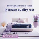 Malyssa 5ft × 6.5ft- Spring Mattress- 10.5"