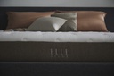 Elle Décor - Chloe Royale Mattress - Size 6.0''x6.5''x10.5''