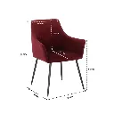Earla Dining Chair-Steel Black/Red Velvet