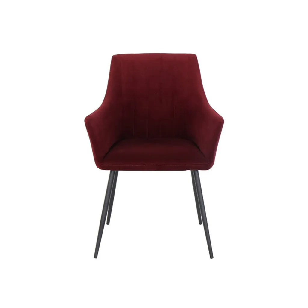 Earla Dining Chair-Steel Black/Red Velvet