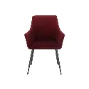 Earla Dining Chair-Steel Black/Red Velvet