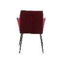 Earla Dining Chair-Steel Black/Red Velvet