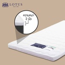 Lotus-Companion Latex Topper 5ft x 6.5ft Thickness-5 cm