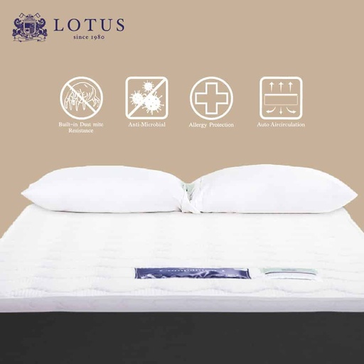 Lotus - Companion Latex Topper 5ft x 6.5ft Thickness - 5cm
