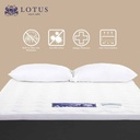 Lotus - Companion Latex Topper 6ft x 6.5ft Thickness