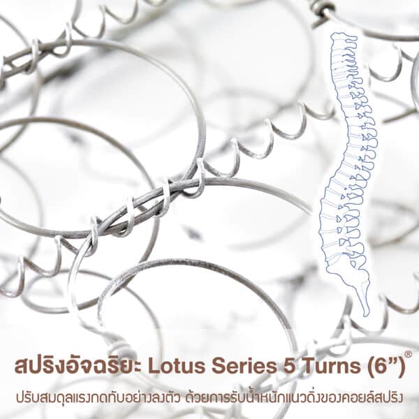 Lotus - O-Season II 5ft × 6.5ft- Foam Spring Mattress - Medium Soft - 10"
