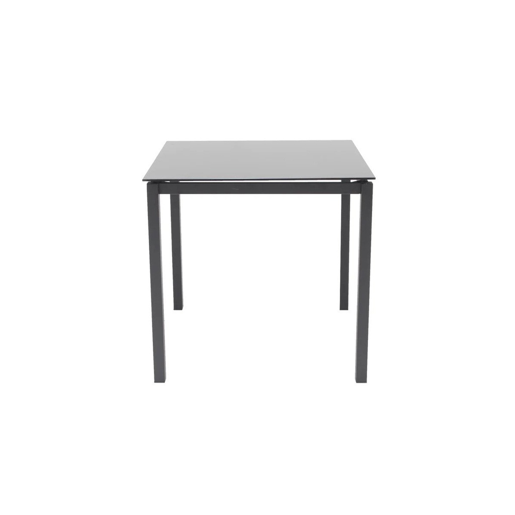 Ruber -Dining Table-Black Glass