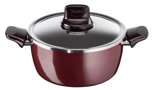 TEFAL PLEASURE STEWPAN 26CM+LID (D5055252)