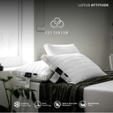 Lotus Attitude Cottonism Medium Pillow