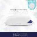 Lotus  Micro Visco Pillow 2.0