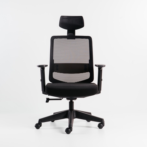 [1259SCA78N2] Merryfair Work Chair with Lumber Support and Adjustable Arm S-BL418/B-SM01